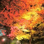 曽木の滝の秋