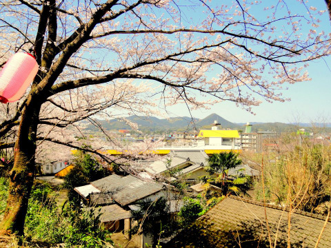 忠元公園の桜と、鳥神岡