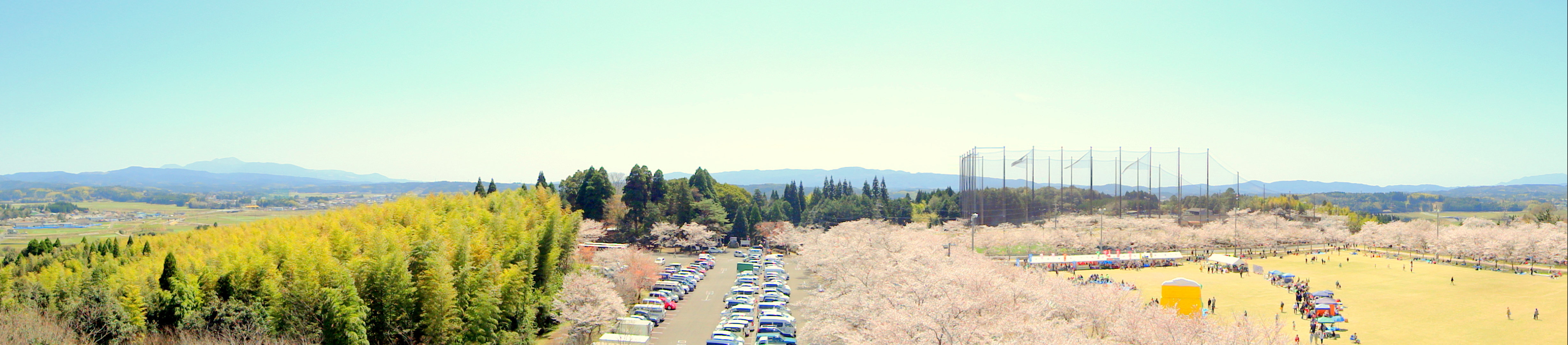 2012年・桜まつり＠忠元公園、高所さくら観覧（クレーン車上より）